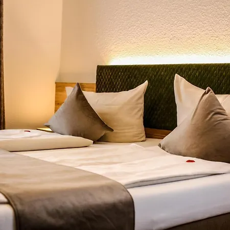 Hotel Restaurant Schwoerer 3*