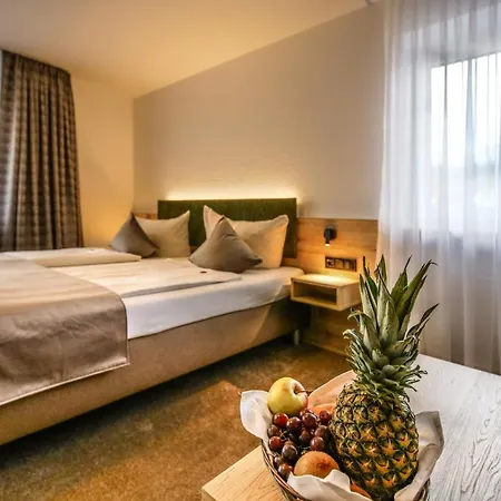 Hotel Restaurant Schwoerer 3*