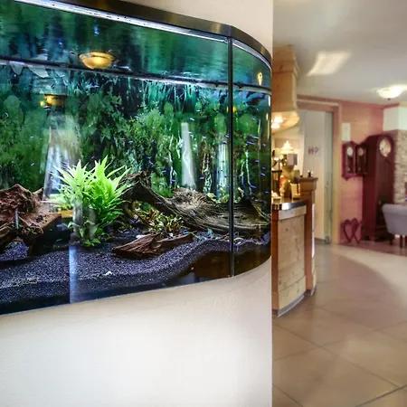 Restaurant Schwoerer Hotel