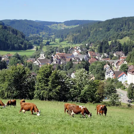 Hotel Restaurant Schwoerer 3*