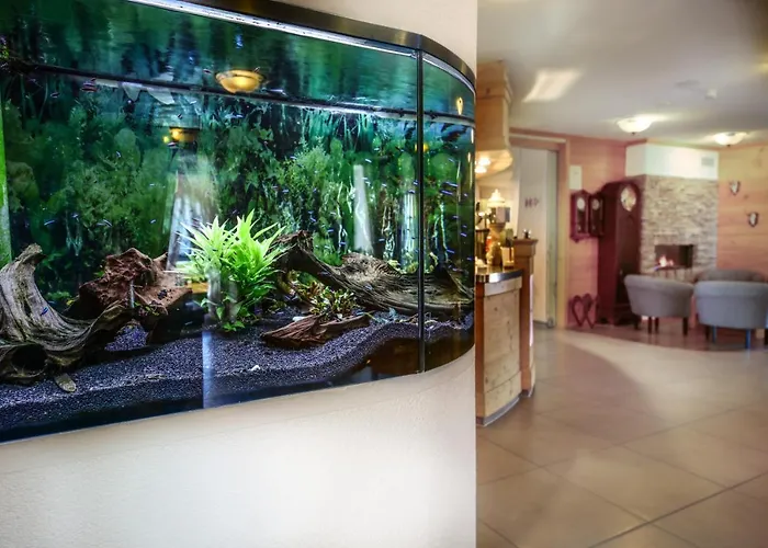 Restaurant Schwörer Hotel