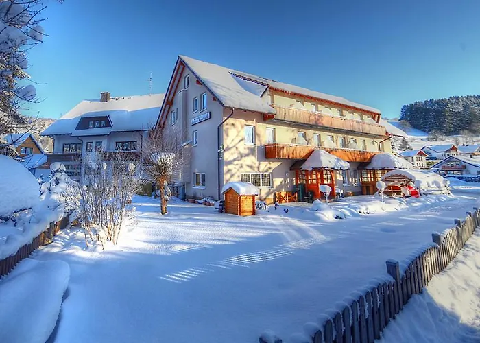 Restaurant Schwoerer Hotel