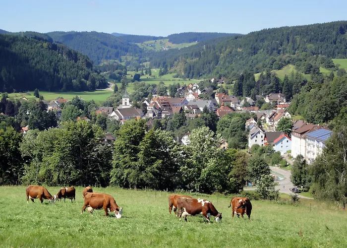 Hotel Restaurant Schwörer 3*